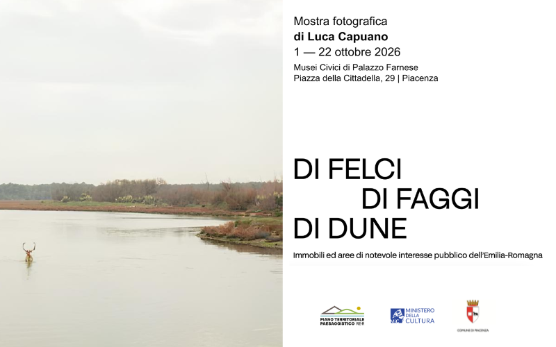 "Di felci di faggi di dune" – mostra fotografica di Luca Capuano