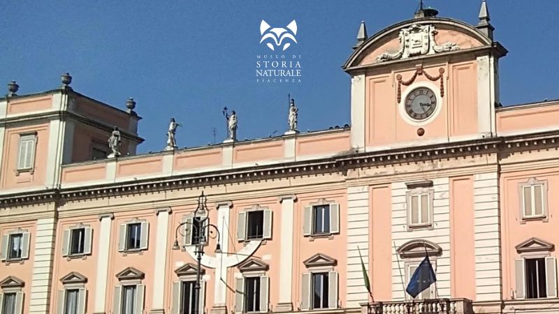 Gli strumenti solari di Piazza Cavalli – incontro guidato